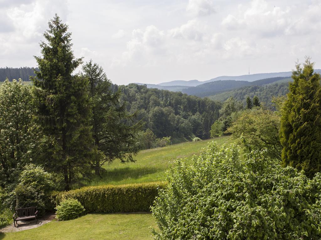 Pension Haus Brieden Винтерберг Экстерьер фото